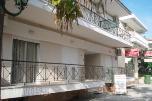 Phaethon_holidays_in_Apartment_Macedonia_Halkidiki_Kallithea