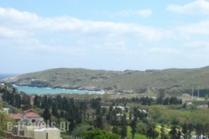 Rastoni Apartments_best deals_Apartment_Cyclades Islands_Andros_Andros City