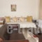 Rastoni Apartments_lowest prices_in_Apartment_Cyclades Islands_Andros_Andros City