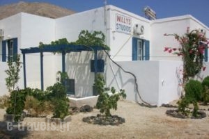 Willy's Studios_lowest prices_in_Hotel_Cyclades Islands_Sandorini_Sandorini Chora