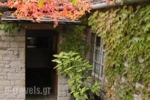 Avragonio Traditional Apartments_lowest prices_in_Hotel_Epirus_Ioannina_Papiggo