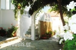 Loginos Studios_s __1