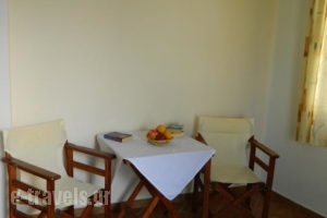 Ioanna Apartments_best deals_Apartment_Cyclades Islands_Naxos_Naxos chora