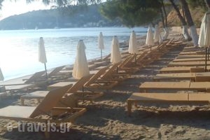 Xenia Poros Image Hotel_travel_packages_in_Piraeus Islands - Trizonia_Trizonia_Trizonia Chora