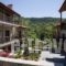 VasilikiGuesthouse_accommodation_in_Hotel_Central Greece_Evia_Steni