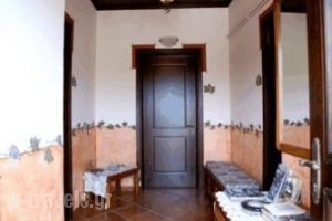 Guesthouse Patavalis_best deals_Hotel_Thessaly_Trikala_Kalambaki