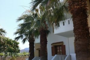 Angelika Apartotel_lowest prices_in_Hotel_Crete_Lasithi_Milatos