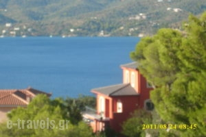 Dedelos Studios_best prices_in_Apartment_Piraeus Islands - Trizonia_Poros_Poros Chora