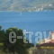 Dedelos Studios_accommodation_in_Apartment_Piraeus Islands - Trizonia_Poros_Poros Chora