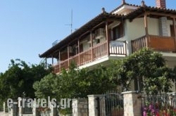 Pansion Matoula_s __1