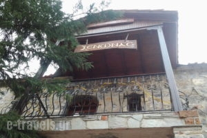 Koziakas_best deals_Hotel_Macedonia_Pella_Edessa City