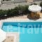 Studio Anesis_best prices_in_Hotel_Piraeus Islands - Trizonia_Aigina_Agia Marina
