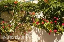 Gisela’s House in Skiathos Chora, Skiathos, Sporades Islands