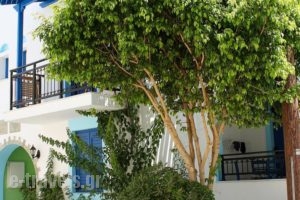 Katerina Roza Studios_accommodation_in_Hotel_Cyclades Islands_Naxos_Naxos chora
