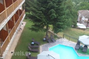Hotel Victoria_best deals_Hotel_Epirus_Ioannina_Metsovo