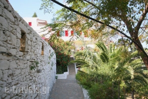 Studios Anna_lowest prices_in_Room_Cyclades Islands_Amorgos_Katapola