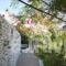 Studios Anna_lowest prices_in_Room_Cyclades Islands_Amorgos_Katapola