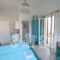 Studios Anna_best prices_in_Room_Cyclades Islands_Amorgos_Katapola