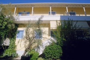 Cosmos Studios & Apartments_accommodation_in_Apartment_Ionian Islands_Lefkada_Lefkada Rest Areas