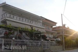 Vicky Apartments_best deals_Apartment_Macedonia_Halkidiki_Haniotis - Chaniotis