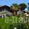 Villa Frideriki_travel_packages_in_Sporades Islands_Skiathos_Skiathosst Areas