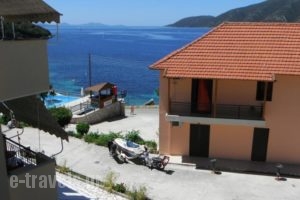 Dimitris Apartments_lowest prices_in_Apartment_Ionian Islands_Lefkada_Lefkada Rest Areas