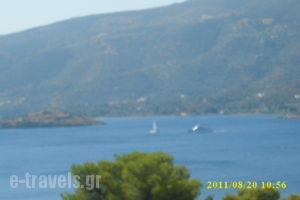 Dedelos Studios_lowest prices_in_Apartment_Piraeus Islands - Trizonia_Poros_Poros Chora