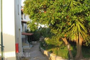 Niki Apartments_accommodation_in_Apartment_Thessaly_Magnesia_Pilio Area