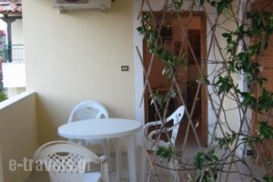 Niki Apartments_best deals_Apartment_Thessaly_Magnesia_Pilio Area