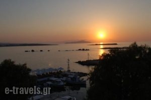 Stelisia Rooms_best prices_in_Room_Crete_Chania_Chania City