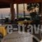 Stelisia Rooms_accommodation_in_Room_Crete_Chania_Chania City