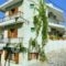 Eleni Studios_accommodation_in_Hotel_Sporades Islands_Alonnisos_Alonissos Chora