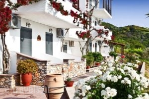 Hotel Telis_best prices_in_Hotel_Sporades Islands_Skiathos_Skiathos Chora