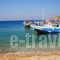 Aphrodite Studios_holidays_in_Hotel_Dodekanessos Islands_Kalimnos_Kalimnos Rest Areas