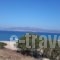 Acti Plaka Hotel_best prices_in_Hotel_Cyclades Islands_Naxos_Naxos Chora