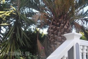 Sam'Sun_best prices_in_Hotel_Aegean Islands_Samos_Pythagorio