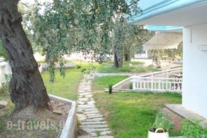 Panagiotis Hotel_best prices_in_Hotel_Aegean Islands_Thasos_Thasos Chora