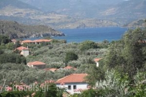 Irini Studios_accommodation_in_Hotel_Aegean Islands_Lesvos_Petra