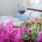 Milos Rooms_lowest prices_in_Room_Cyclades Islands_Milos_Adamas