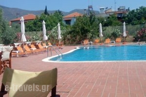 Meni Studios_best prices_in_Hotel_Aegean Islands_Thasos_Limenaria