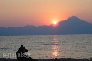 Pontos_lowest prices_in_Hotel_Macedonia_Halkidiki_Toroni