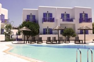 Hotel Anatolia_accommodation_in_Hotel_Cyclades Islands_Mykonos_Agios Ioannis