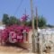 Pelagos Bay_best deals_Hotel_Ionian Islands_Kefalonia_Skala