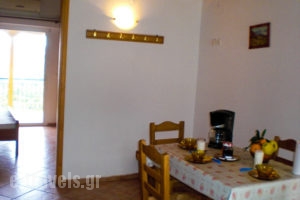 Elena's Rooms_best prices_in_Apartment_Peloponesse_Arcadia_Levidi