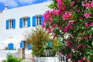 Margarita Hotel_accommodation_in_Hotel_Piraeus islands - Trizonia_Kithira_Kithira Chora