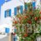 Margarita Hotel_holidays_in_Hotel_Piraeus islands - Trizonia_Kithira_Kithira Chora