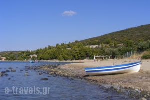 Villa Asterianna_travel_packages_in_Macedonia_Halkidiki_Poligyros
