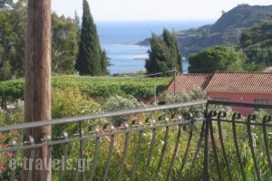 Nerissa Apartments_lowest prices_in_Room_Ionian Islands_Kefalonia_Kefalonia'st Areas