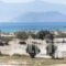 Perla_holidays_in_Apartment_Cyclades Islands_Naxos_Agios Prokopios