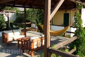 Tzane_accommodation_in_Apartment_Cyclades Islands_Paros_Chrysi Akti